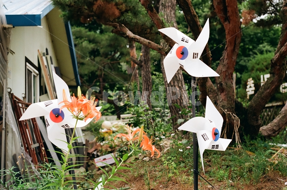 태극기,자연,바람개비,시골,광복절