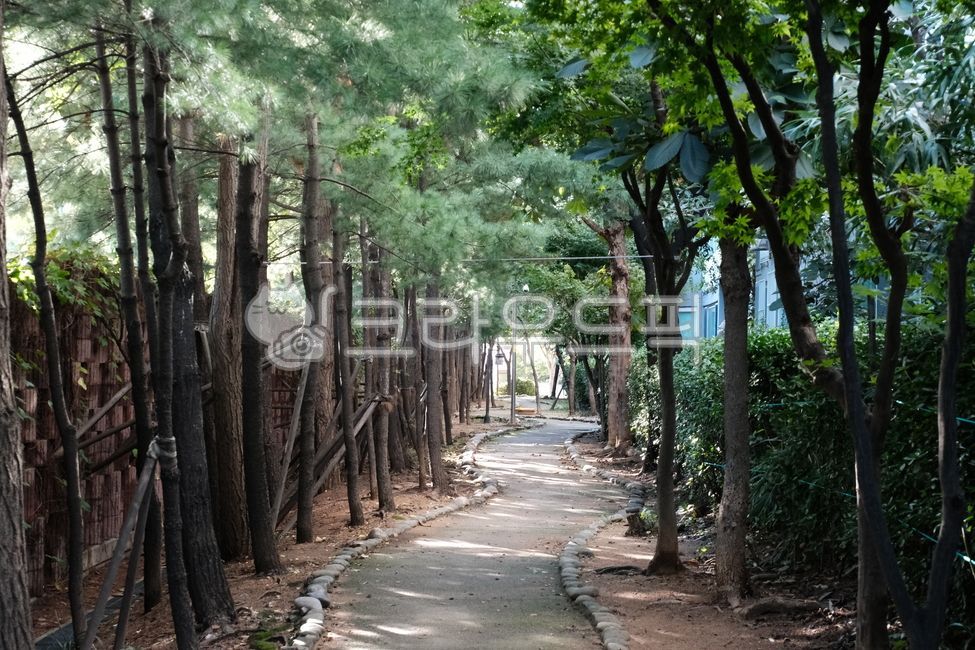 산책로,산책길,자연산책로,도시산책로,하천산책로,아파트산책로,공원산책로,숲속길,나무길,흙길,포장도로,운동로,힐링공간,야외산책,가을산책,사계절산책로,나무데크길,공공산책로,생활산책로,pedestrianpath,walkingtrail,forestpath,riversidetrail,urbanwalkway,parktrail,joggingpath,leisureroad,healingroad,naturetrail,outdoorwalking,dailywalkingpath,footpath,citygreenspace,ecotrail