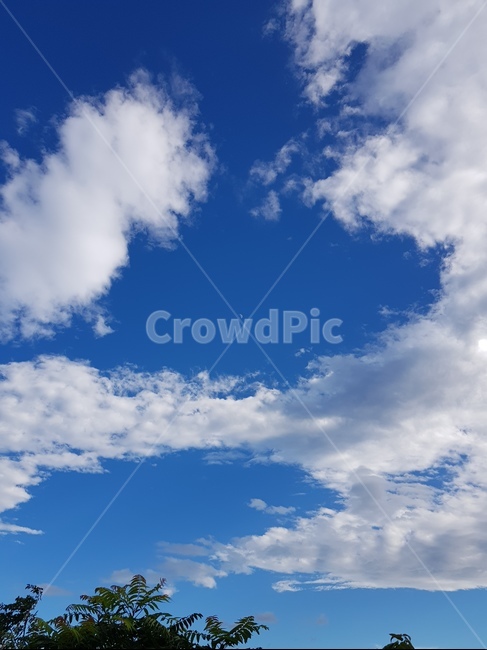 nature,푸른하늘,자연,sky,azuresky