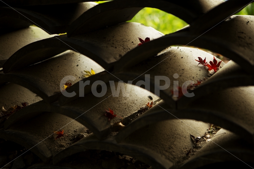 기와,그림자,가을,단풍,공간,가을,계절,fall,autumn,season,한국전통,한국문화,korean traditional,korean culture,감성,sensible,feeling,텍스처,질감,패턴,texture,pattern