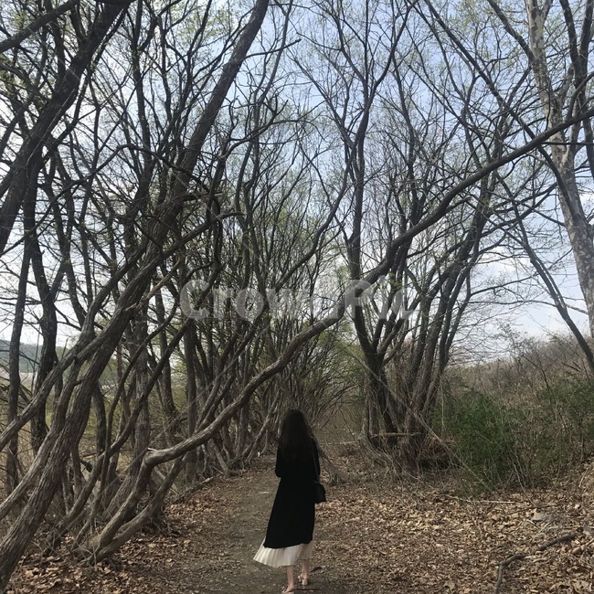 뒷모습,여자뒷모습,여자친구,긴머리여자,긴생머리,풍경,여행,감성,자연,풍경,nature,landscape,사람,인물,인간,human,person,여성,여자,woman,female,lady,ground,바닥,tree,나무,plant,식물