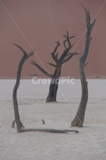 나미비아,namibia,deadvlei,sosusvlei,데드블레이,소서스블레이