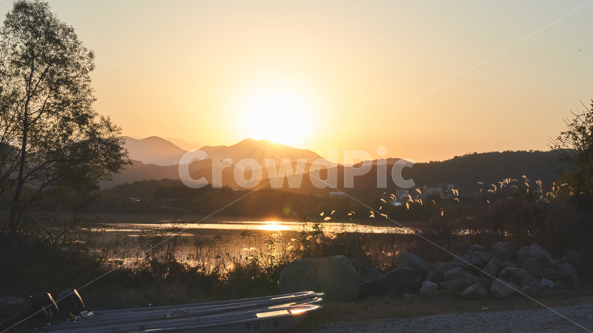 노을,갈대,light,빛,flare,플레어,sunlight,햇빛,자연,풍경,nature,landscape