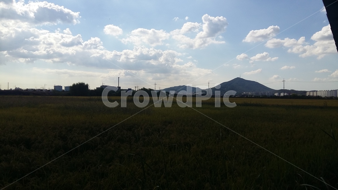 흰구름,논,들판,가을풍경,구름,자연,풍경,nature,landscape,outdoors,옥외,weather,날씨