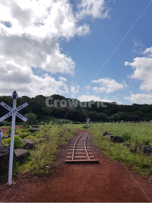 제주도,풍경,하늘,기찻길,jeju,trainroad,구름,철길