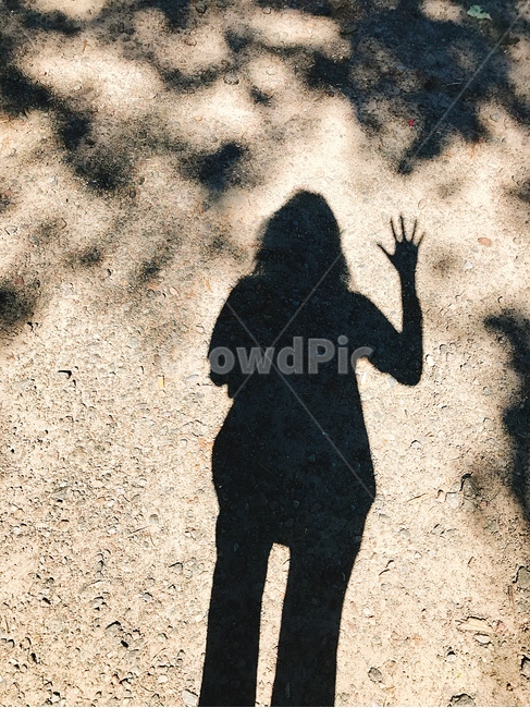 여자,그림자,빛,자연,안녕,바닥,ground