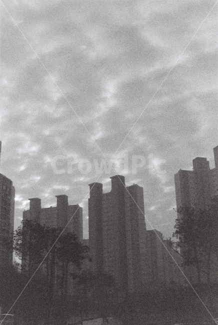 필름,필름사진,하늘,구름,아날로그,실루엣,흑백사진,흑백,film,sky,monochrome,bw,cloud,ilford,delta,iso3200,35mm,도시,풍경,city,landscape,흑백,모노톤,monochrome,black and white,nature,자연,outdoors,옥외
