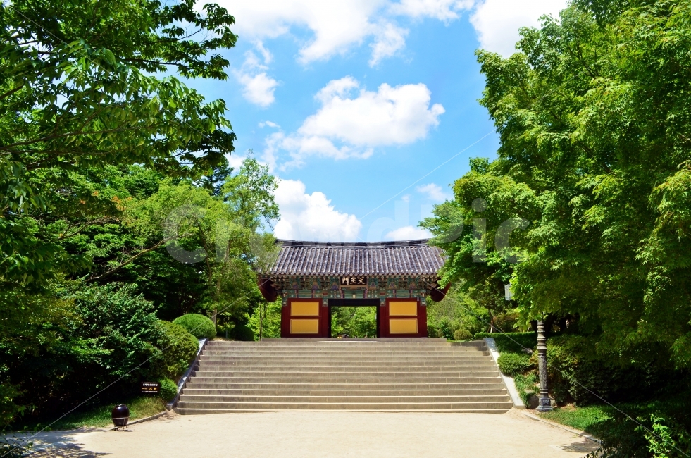 나무,하늘,구름,한옥,길,랜드마크,landmark,tourist attraction,한국전통,한국문화,korean traditional,korean culture,종교,신앙,religion,belief,faith