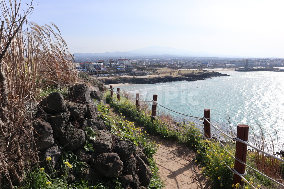 힐링,졔주도,올레길,해변길,봄,자연,풍경,nature,landscape,제주도,jeju,jeju island