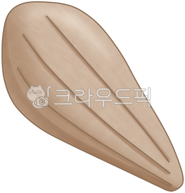 Key shells,shellfish,sea shells,seafood,marine products,marine life,sea creatures,key shell illustrations,key shell drawings,emotional seafood,shell illustrations,natural creatures,ocean emotions,ocean emotions,healing sea,summer sea,under