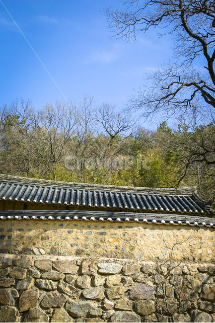 나무,흙담,돌담,전통가옥,한옥,지붕,기와,양반집,한국전통,한국문화,korean traditional,korean culture,건축물,건물외관,exterior,building,structure,architecture,construction