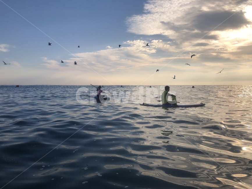 바다,패들보드,갈매기,새,sup,취미,하늘,풍경,자연,구름,아침,사람,여유,nature,landscape,paddleboard,필름카메라,필름,아날로그,감성,film,felling,analogue,사람,인물,인간,human,person,스포츠,레저,운동,sports,leisure,exercise