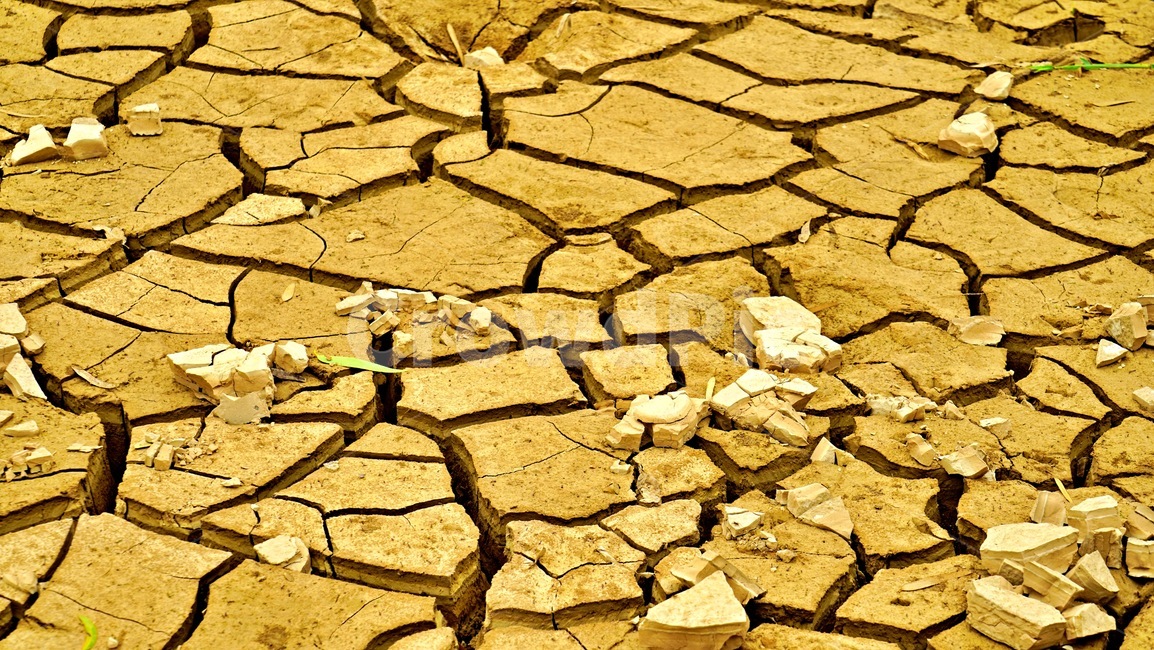 가뭄,강바닥,바닥,drought,땅이갈라짐