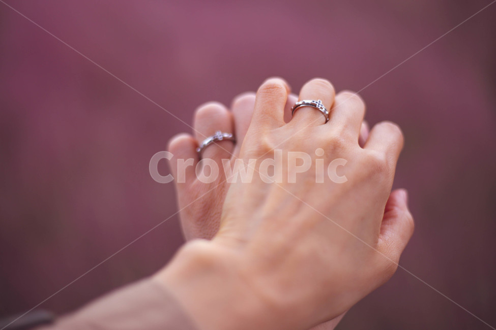 반지,연인,사랑,커플링,커플손잡기,사랑의맹세,약속,결혼,결혼반지,커플반지,감동,사람,신체일부,제스처,표시,손짓,표현,gestur,hand,expression,감정표현,기분,feeling,emotion,감성,sensible,색깔,색상,색채,색감,couple,커플,사람,인물,인간,human,person,신체일부,몸,body,연인,커플,사랑,lover,couple
