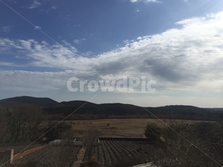 햇빛,들판,울타리,가을,초원,자연,풍경,nature,landscape,outdoors,옥외