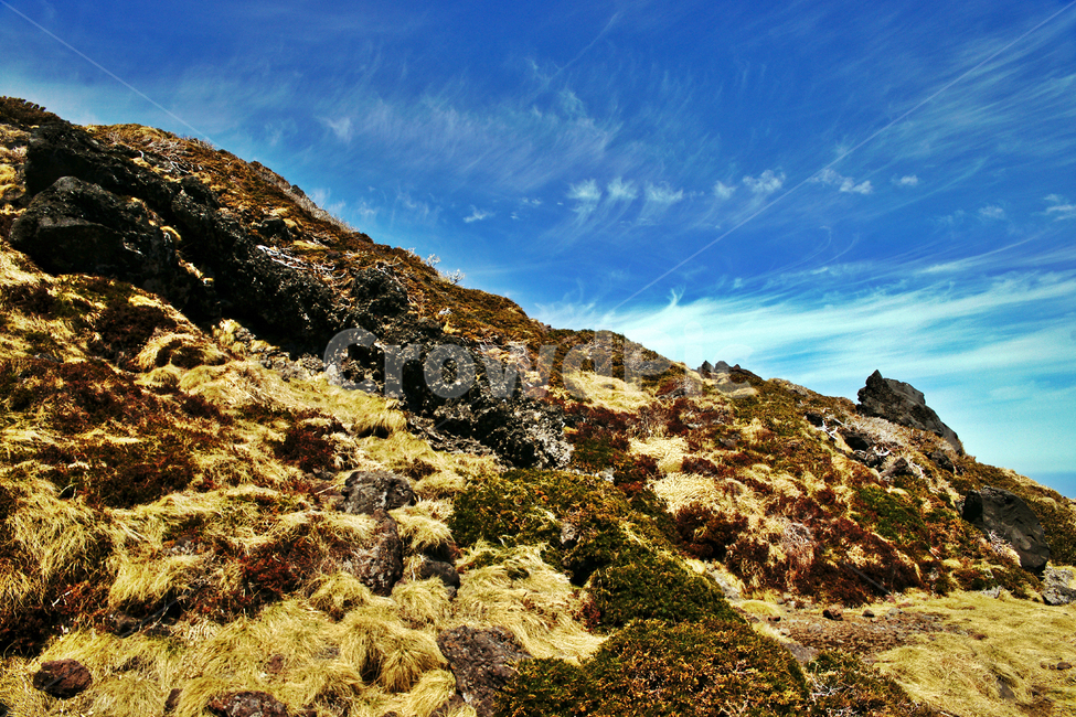 한라산,제주도,한라산국립공원,성판악코스,푸른하늘,암석