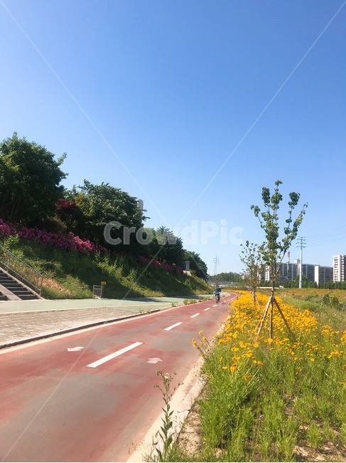 하늘,은동,맑음,봄,여유,자연,풍경,nature,landscape,road,도로