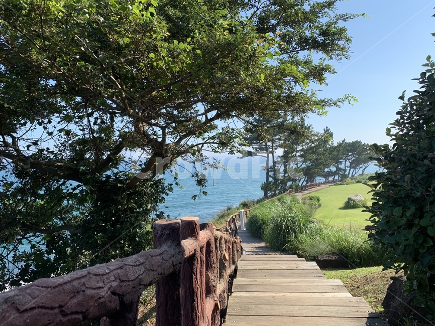 outdoors,옥외,바다,길,화창함,walkway,보도,path,통로,나무,산책길,산책로