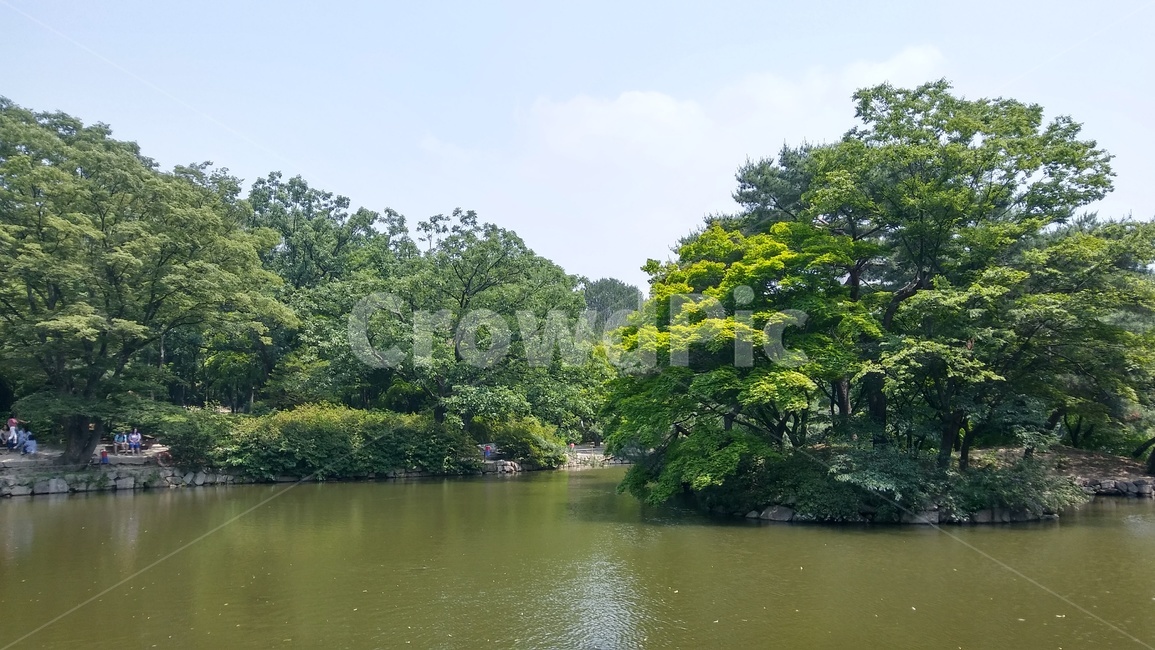 japan,river,tour,nature,자연,water,강,outdoors,view,summer,green,yanagawacity,yanagawa,야나가와