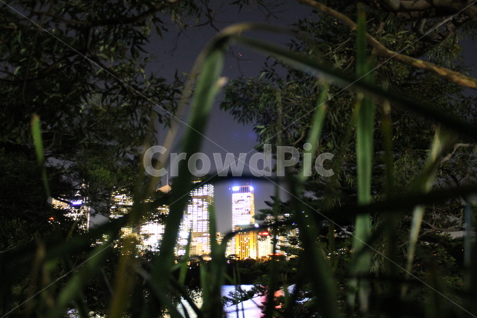town,metropolis,building,urban,city,officebuilding,시드니야경,시드니,sydney,sydneynightview,nightscenery,nightscape,flare,플레어,light,빛,야경,밤,풍경,nightscape,night,landscape