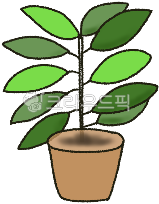 화분,잎큰식물,식물,반려식물,초록식물,공기정화식물,식물일러스트,화분일러스트,화분이미지,토분일러스트,고무나무,화분그림,초록잎사귀,잎사귀그림,봄,봄맞이,봄식물,여름식물