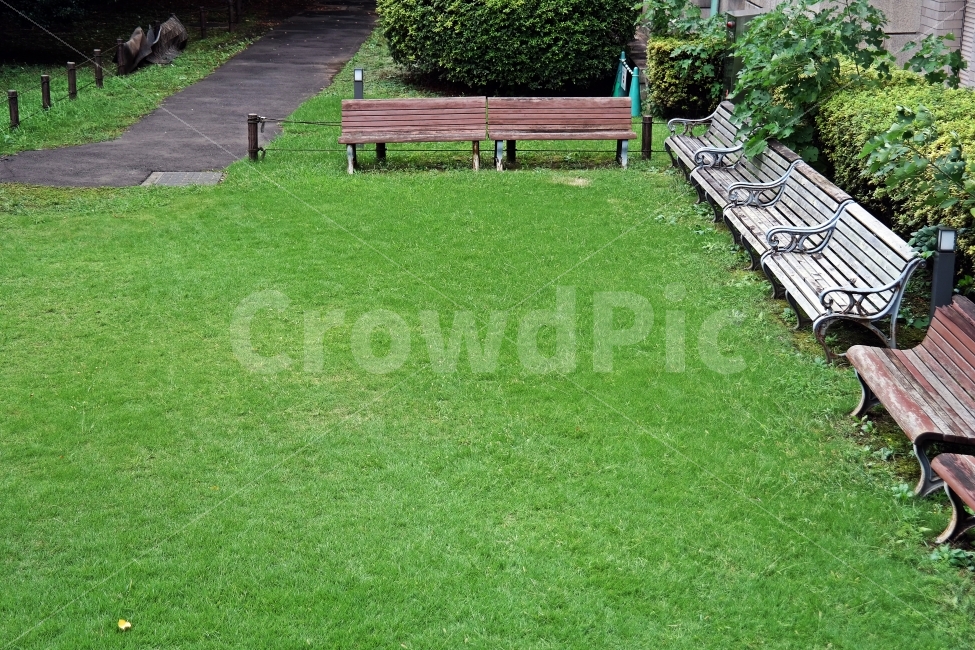 잔디,쉼터,벤치,의자,잔디밭,나무,조용함,길,녹색배경,녹색,Green,Bench,Tree,Grass,Background,배경,교외,편안함,휴식,풍경