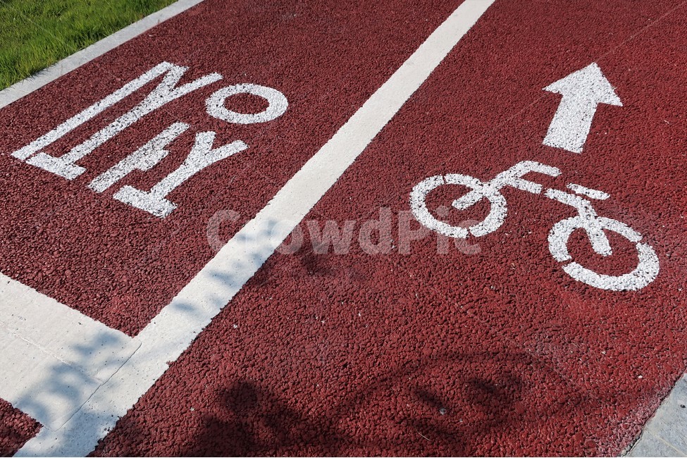 자전거,도로,표지,표시,노면,우선,주행,사고,구간,전용,차로,운전,운전자,안전,구분,교통법규,안전운전,교통,교통수단,traffic,transportation