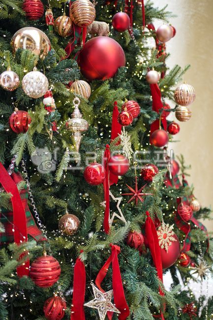 트리,크리스마스,성탄절,빨간,오너먼트,트리장식,연말,12월,크리스마스트리,christmas,메리크리스마스,성탄절,merry christmas
