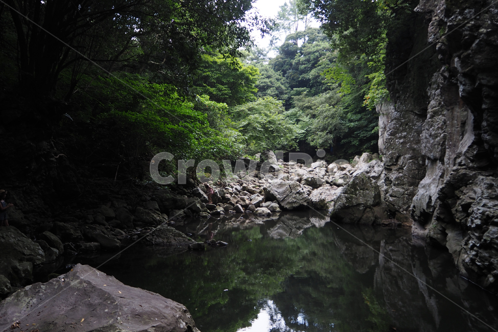 제주도,자연,풍경,jejuisland,jeju,nature,landscape,안덕계곡,계곡,협곡,andeokvalley,andeok,valley,자연,풍경,nature,landscape,제주도,jeju,jeju island,water,물,outdoors,옥외,stream,흐름,creek,작은 만