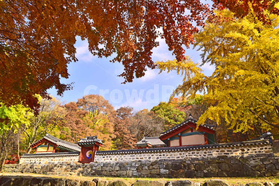 가을,남한산성,가을배경,건축물,유네스코,unesco,세계문화유산,가을단풍,사당,건물,고건축,한국전통,기와지붕,태극마크,은행나무,단풍숲,배경,바탕,백그라운드,야외,옥외,아웃도어,background,outdoor,환경,environment,maple,forest,structure,building,벽,지붕,wall,돌담,칼라풀,컬러풀,colorful,가을분위기,가을서정,계절,시즌,season,tree,나무,plant,식물,가을,계절,fall,autumn,season,한국전통,한국문화,korean traditional,korean culture,건축물,건물외관,exterior,building,structure,architecture,construction