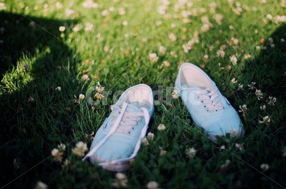 운동화,잔디,grass,vintage,shoes,flower,꽃