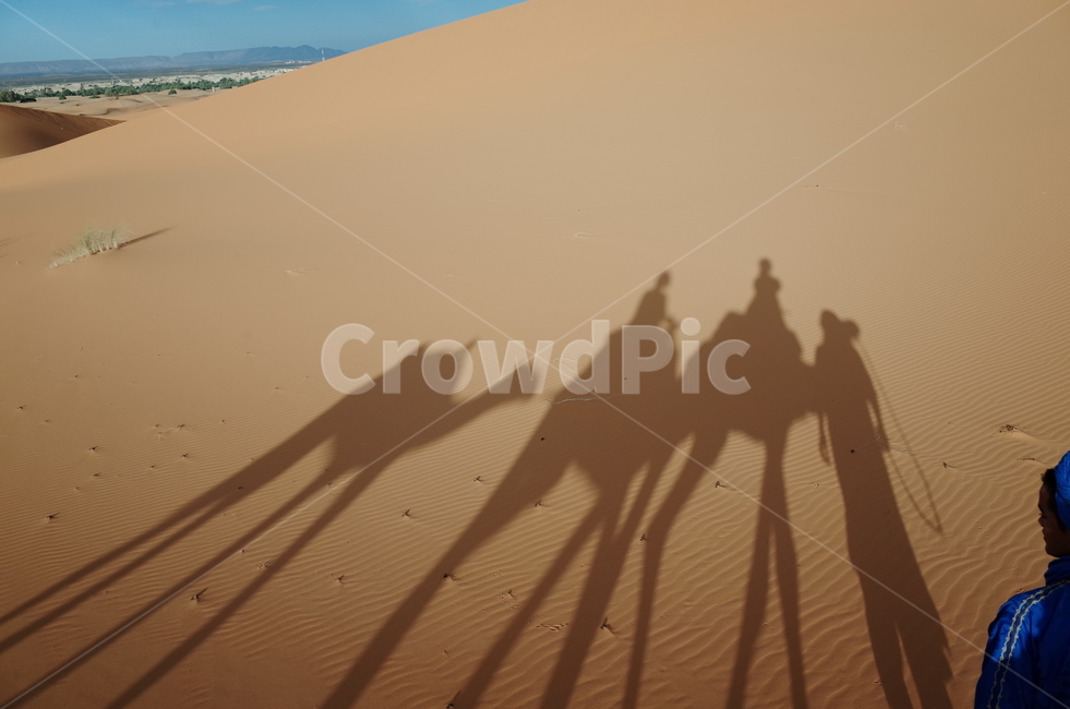sand dunes,Merzouga,shadow,nature,dune,merzouga,saharadesert,sand,sahara,Morocco,outdoors,camel,sahara desert,morocco,desert