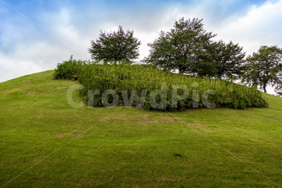	올림픽공원,초원,나무,언덕,하늘,구름,산책로,서울,한국공원,Olympicpark,meadow,tree,hill,sky,clouds,walkway,Seoul,KoreaPark,summer,relaxation,여유,녹색,잔디,소나무,대나무,Cloudstreesky,pinebamboo,green,grass,자연,풍경,nature,landscape,plant,식물