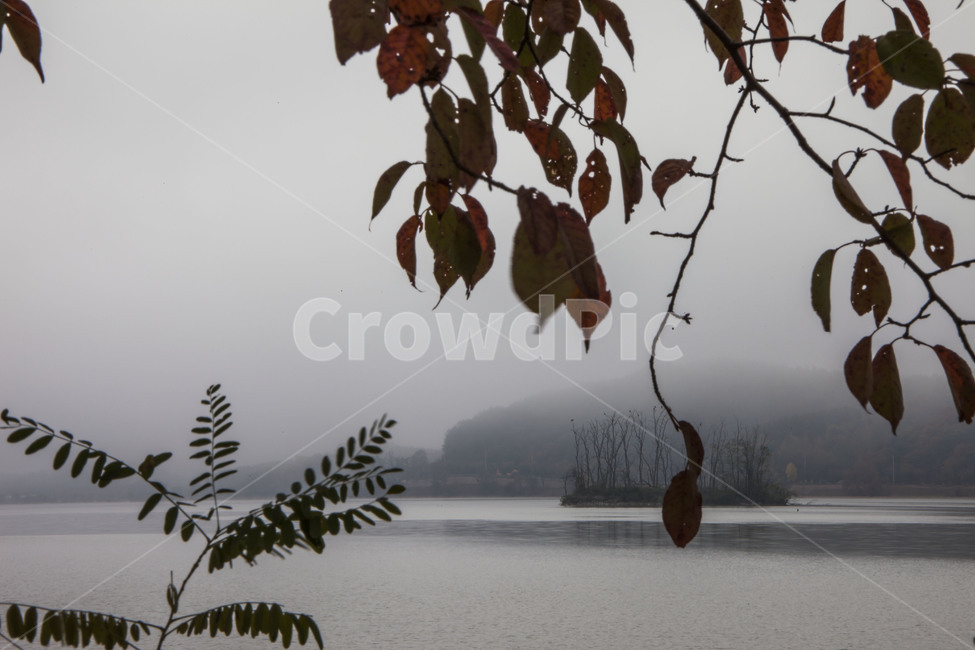 두물머리,물안개,풍경,관광명소,호수,자연,풍경,nature,landscape,한국자연풍경,한국자연경관,korea nature landscape,bird,새,animal,동물