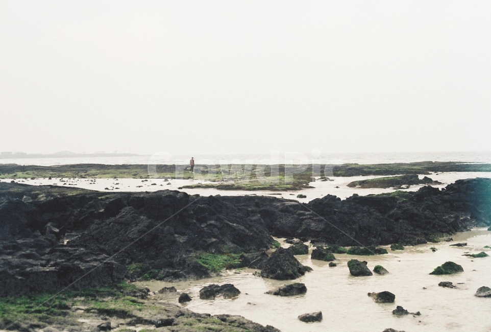 제주,여행,픙경,바다,필름,필름카메라,jeju,자연,풍경,nature,landscape,한국자연풍경,한국자연경관,korea nature landscape,해변,바다,beach,sea,제주도,jeju,jeju island,outdoors,옥외,land,땅,water,물,shoreline,해안선,ocean,대양,coast,연안