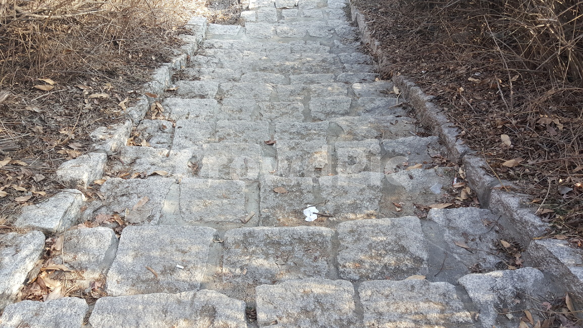 야외,계단,돌계단,공원,산책로,자연,자연,풍경,nature,landscape,path,통로,walkway,보도,sidewalk,pavement,포장,flagstone,판석