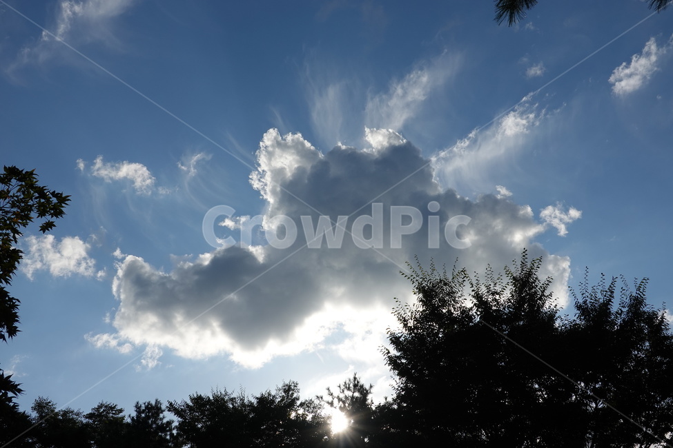 가을하늘,푸른하늘,푸른잎,자연,풍경,sky,tree,green,nature,자연,풍경,nature,landscape,weather,날씨,outdoors,옥외,cumulus,적운,cloud,구름,하늘