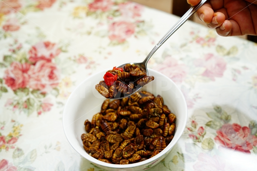 음식,뻔데기,번데기,손,스푼,집밥,간식,단백질,푸드,안주,food,술안주,건강식,먹방,든든,짭쪼름,식탁,수저,숟가락,사람,인물,인간,human,person,음식,식재료,요리,food,cook,meal,dishes,food reserves,디저트,간식,후식,dessert,snack