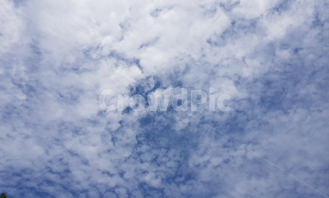 파란하늘,맑은하늘,sky,cloud,구름,자연,풍경,nature,landscape,outdoors,옥외,azure sky,푸른 하늘,하늘
