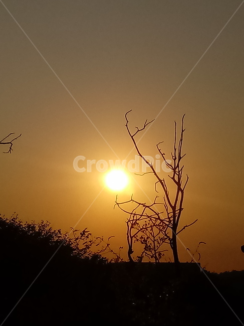 노을,석양,풍경,야경,nightscape,night,자연,outdoors,옥외,빛,붉은하늘,sunset,황혼,일몰,가을,계절,fall,autumn,season,자연,풍경,nature,landscape,light,flare,플레어,sunlight,햇빛