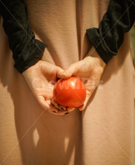 여인,토마토,과일,미니멀리즘,손,사람,인물,인간,human,person,신체일부,몸,body,음식,식재료,요리,food,cook,meal,dishes,food reserves,채소,야채,vegetables