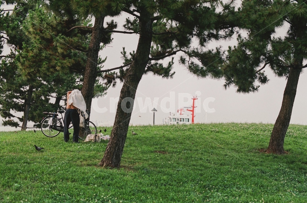 쉼,휴식,초록,자연,힐링,healing,green,sensible,film,필름카메라,감성사진,식물,자연,plants,nature,나무,trees,wood,사람,인물,인간,human,person