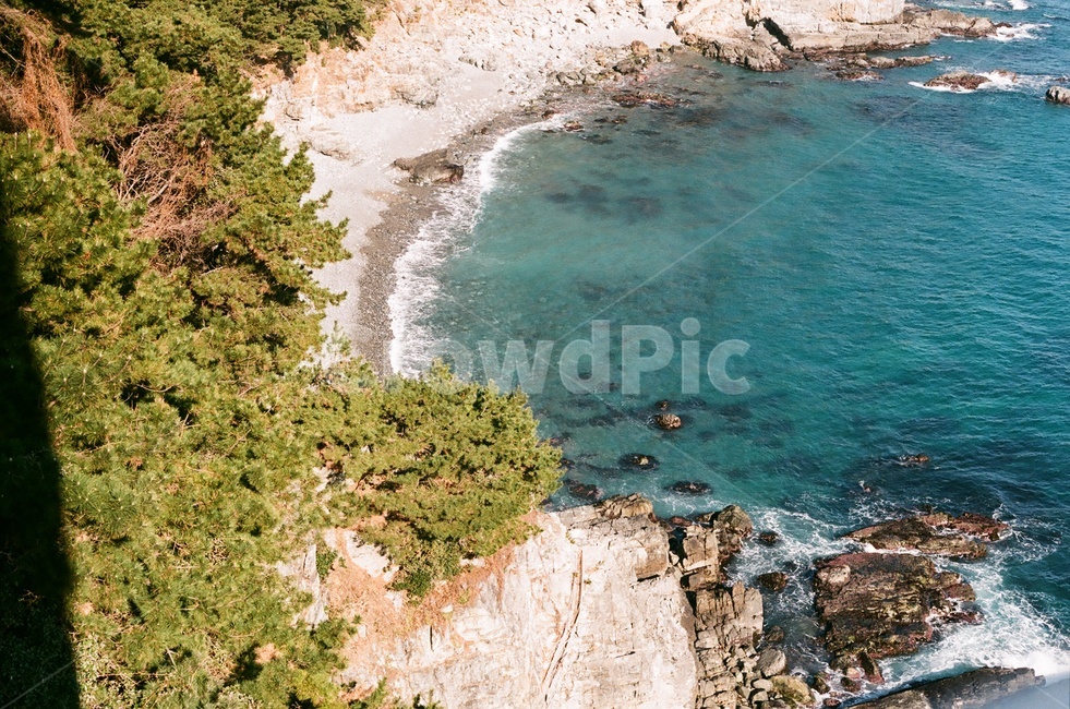 바다,해변,에메랄드,빛,그림자,숲,나무,모래사장,푸른색,바위,돌담,sea,beach,풍경,경치,자연,경관,자연경관,감성,겨울,겨울바다,여름,부산,자연,풍경,nature,landscape,shoreline,해안선,water,물,ocean,대양,outdoors,옥외,promontory,곶,land,땅