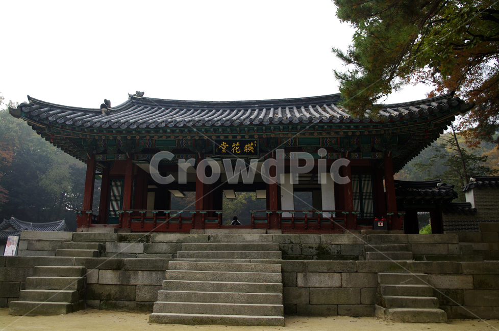 창덕궁,영화당,고궁,건축,전통건축,traditional,전통,단청,기와지붕,계단,한국전통,한국문화,korean traditional,korean culture,건축물,건물외관,exterior,building,structure,architecture,construction