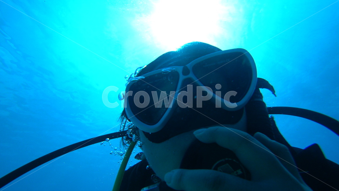 water,물,스포츠,sport,사람,diving,다이빙,잠수부,diver,person,인간,scubadiving,스쿠버다이빙,바다,sea,바다속,underthesea