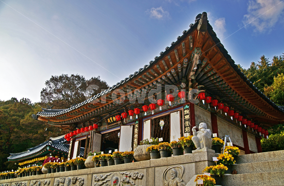 청계사,의왕시,불교사찰,사찰,극락보전,아미타불,당우,종교,신앙,religion,belief,faith