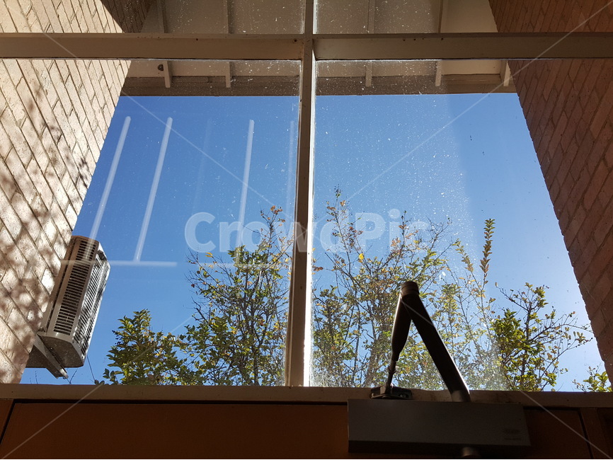빛,창문,나무,하늘,잎,인테리어,실내디자인,interior design