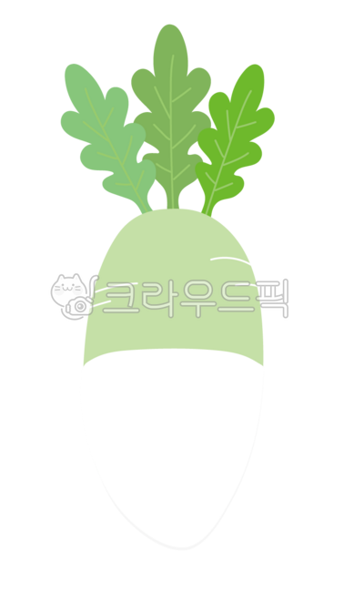 Autumn fruit,autumn fruit,radish,radish design,radish drawing,radish illustration,radish