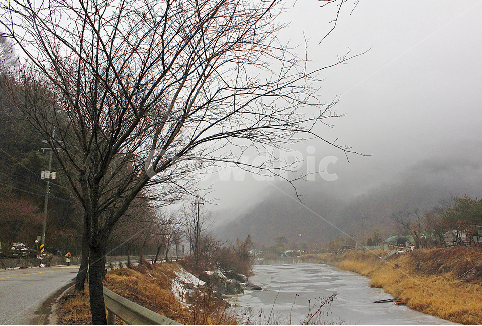 안개,개천,나무,겨울,길,아침,풍경,mist,fog,fade,winter,path,morning,landscape,흐림