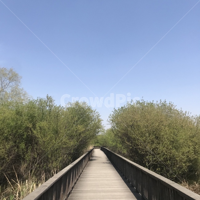 공원,산책,산책길,휴식,풍경,하늘,파란하늘,맑은하늘,감성사진